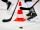 Les Pionniers : le hockey professionnel au plus haut niveau à Chamonix