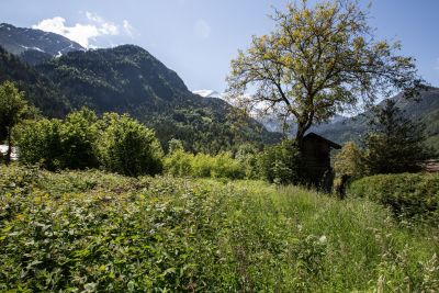 Vente Terrain à bâtir Servoz 937&nbsp;m²