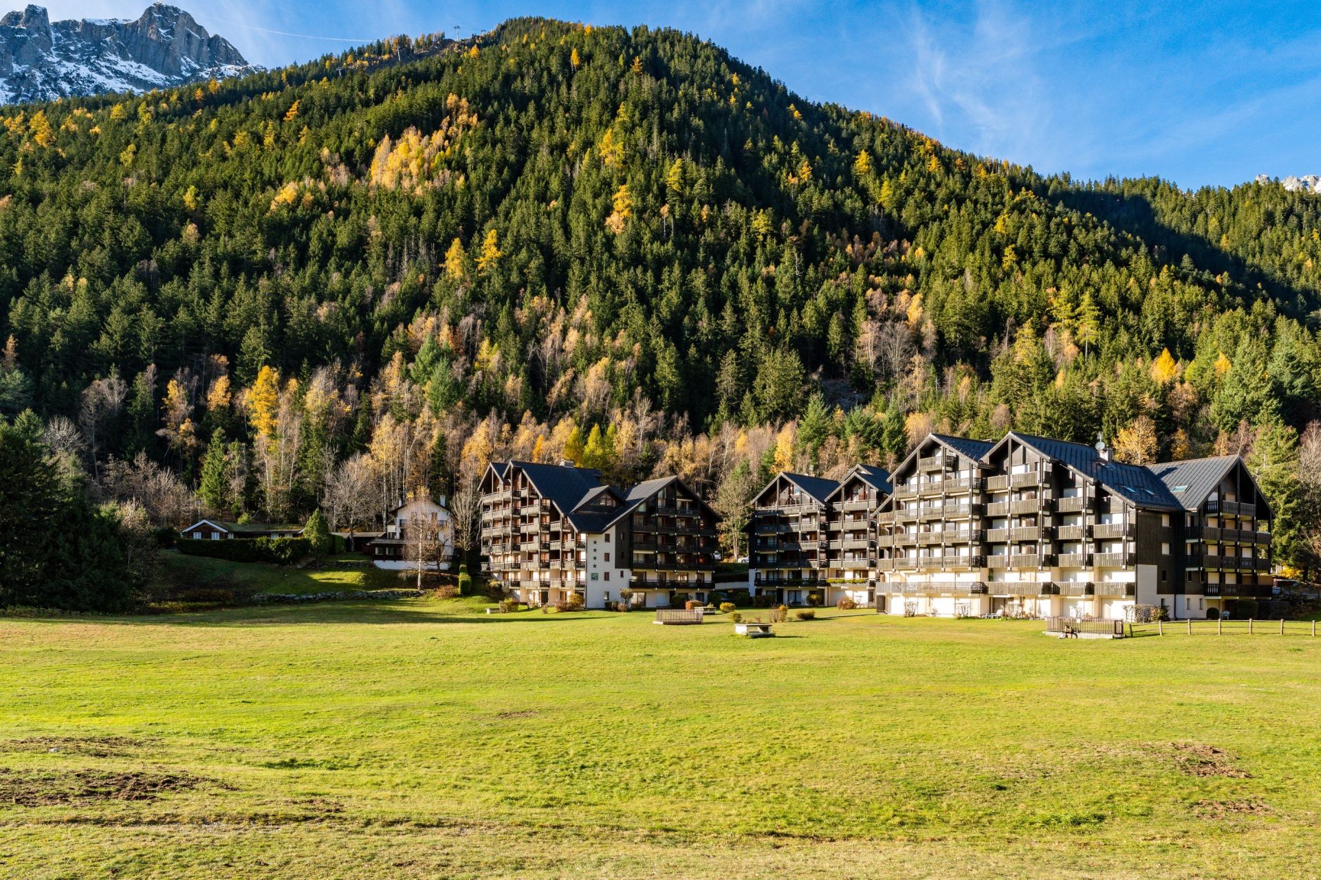 apartment 2 Rooms for sale on CHAMONIX MONT BLANC (74400)