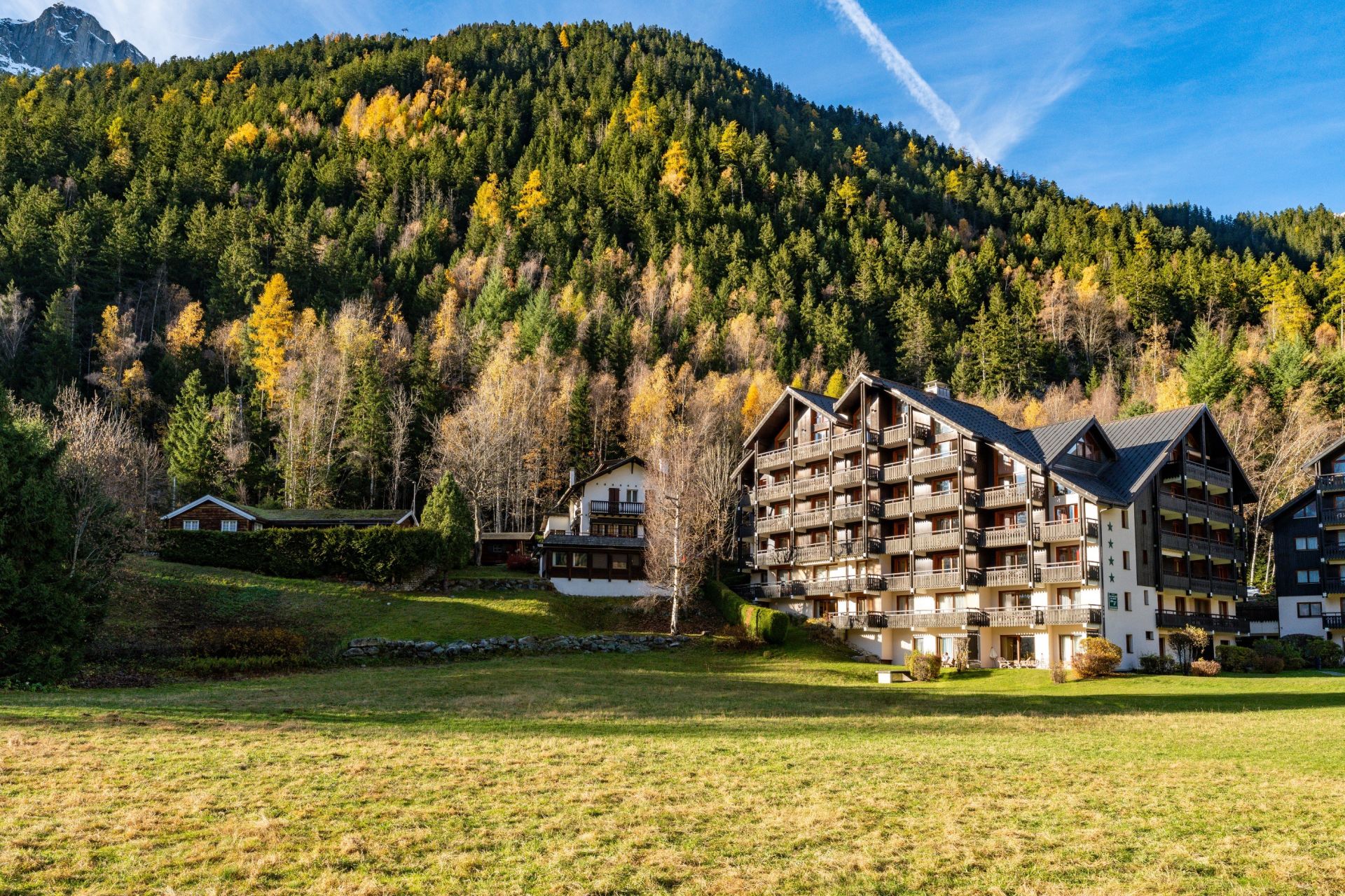 apartment 2 Rooms for sale on CHAMONIX MONT BLANC (74400)