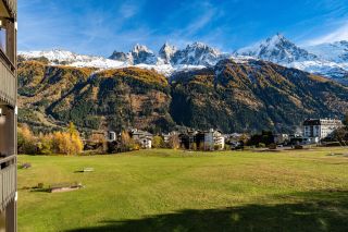 apartment 2 Rooms for sale on CHAMONIX MONT BLANC (74400)