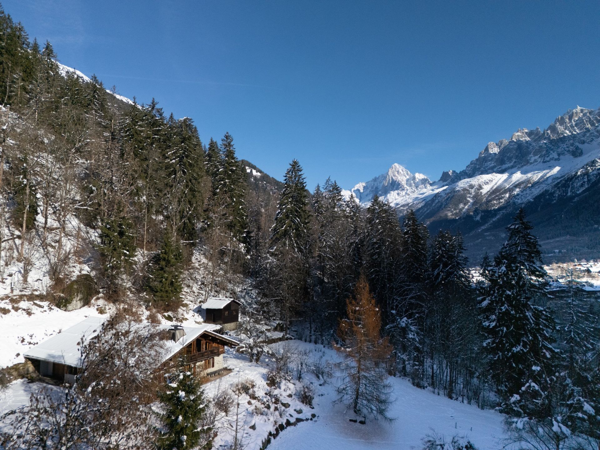 chalet 12 Pièces en vente sur CHAMONIX MONT BLANC (74400)