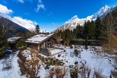 Vente Chalet Chamonix-Mont-Blanc 7&nbsp;Pièces 342&nbsp;m²