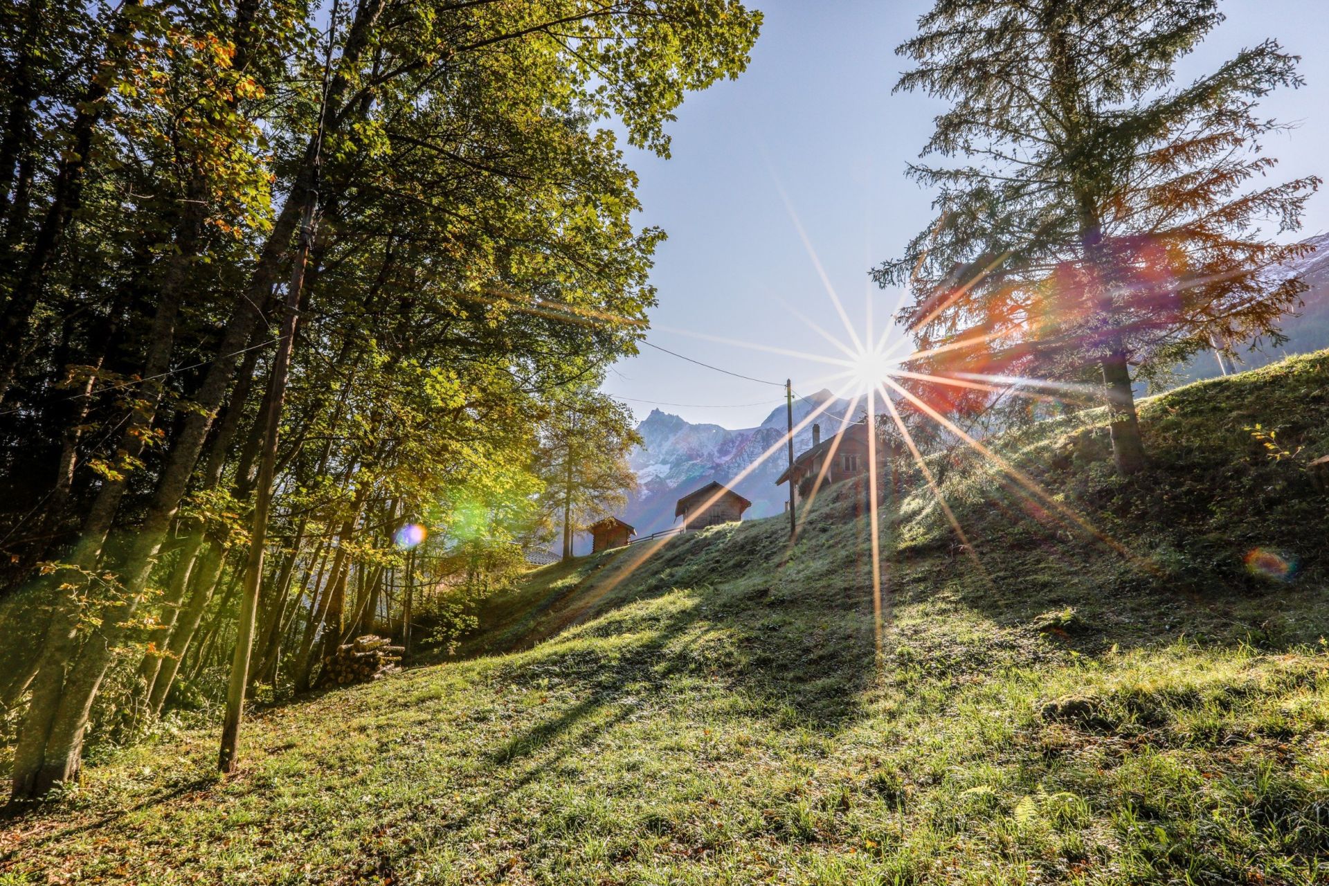 chalet 11 Pièces en vente sur LES HOUCHES (74310)