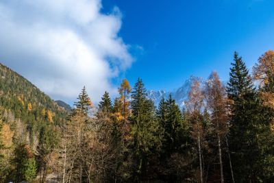 Sale Chalet Les Houches 6&nbsp;Rooms 134&nbsp;m²