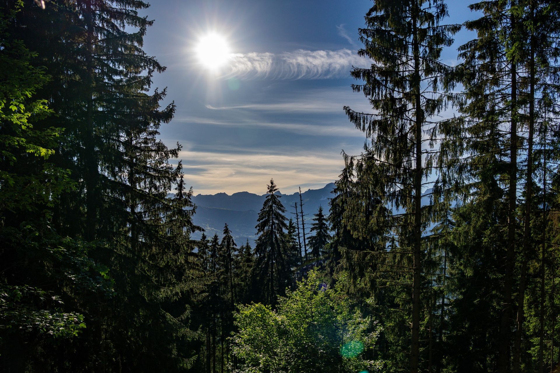 chalet 7 Pièces en vente sur ST GERVAIS LES BAINS (74170)