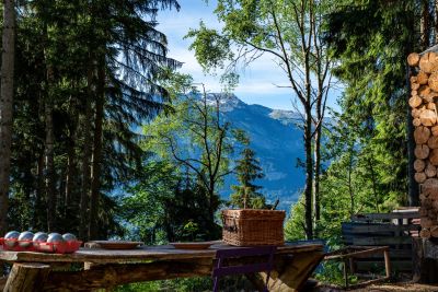 Vente Chalet Saint-Gervais-les-Bains 7&nbsp;Pièces 138&nbsp;m²