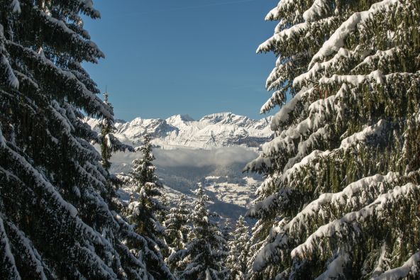 Vente Chalet Saint-Gervais-les-Bains 7&nbsp;Pièces 138&nbsp;m²