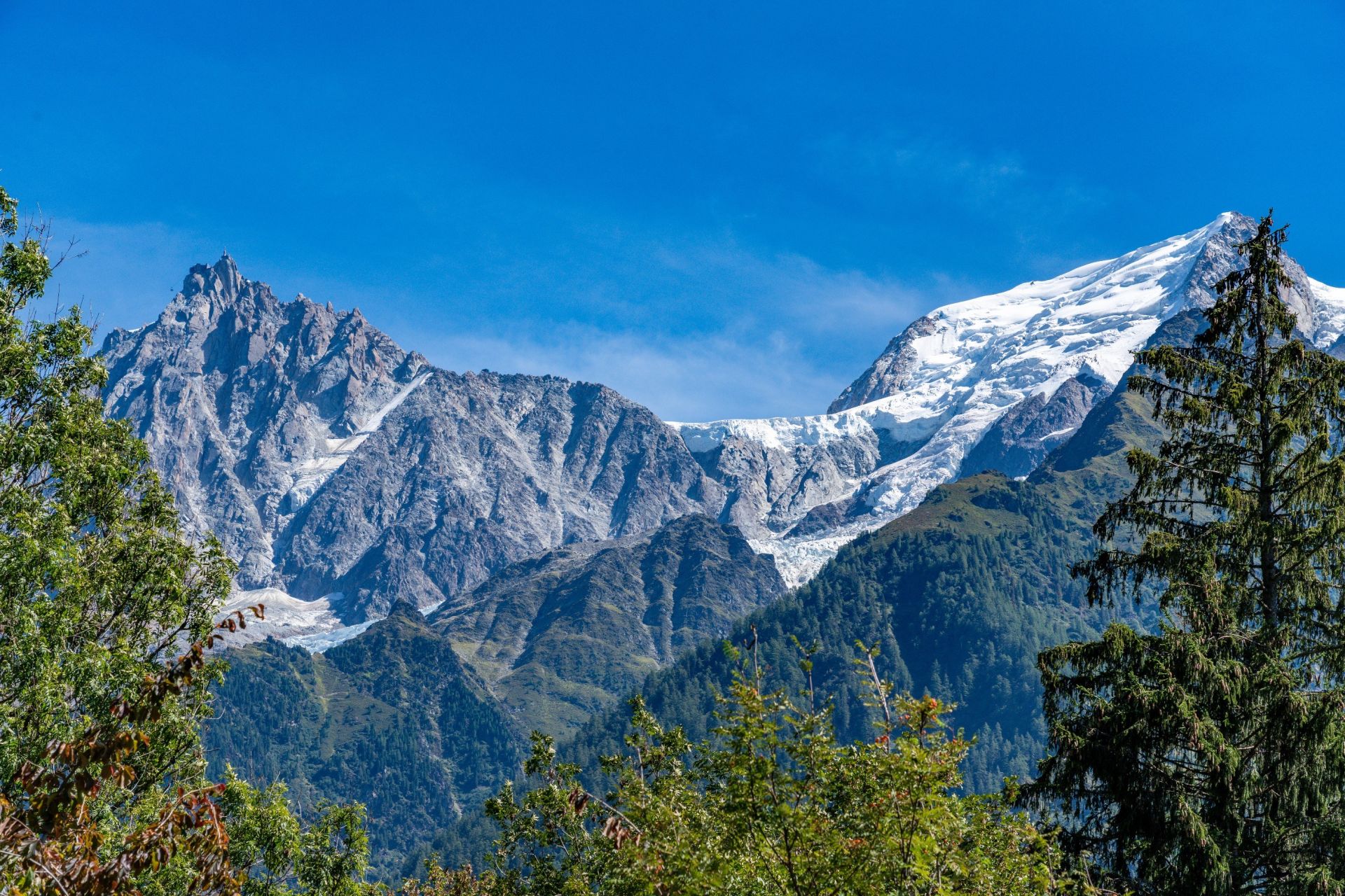 chalet 12 Rooms for sale on CHAMONIX MONT BLANC (74400)